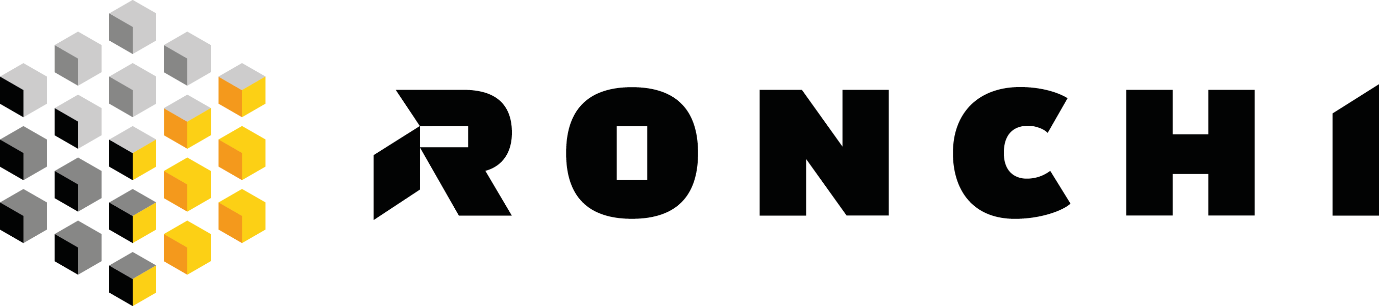 Logo Ronchi