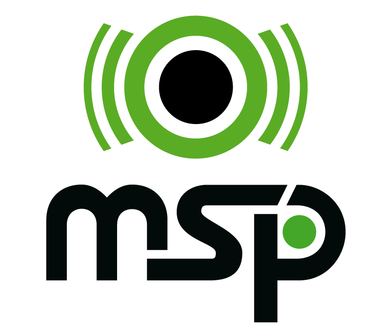Logo MS Productions