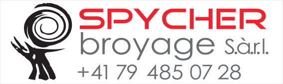 Logo Spycher