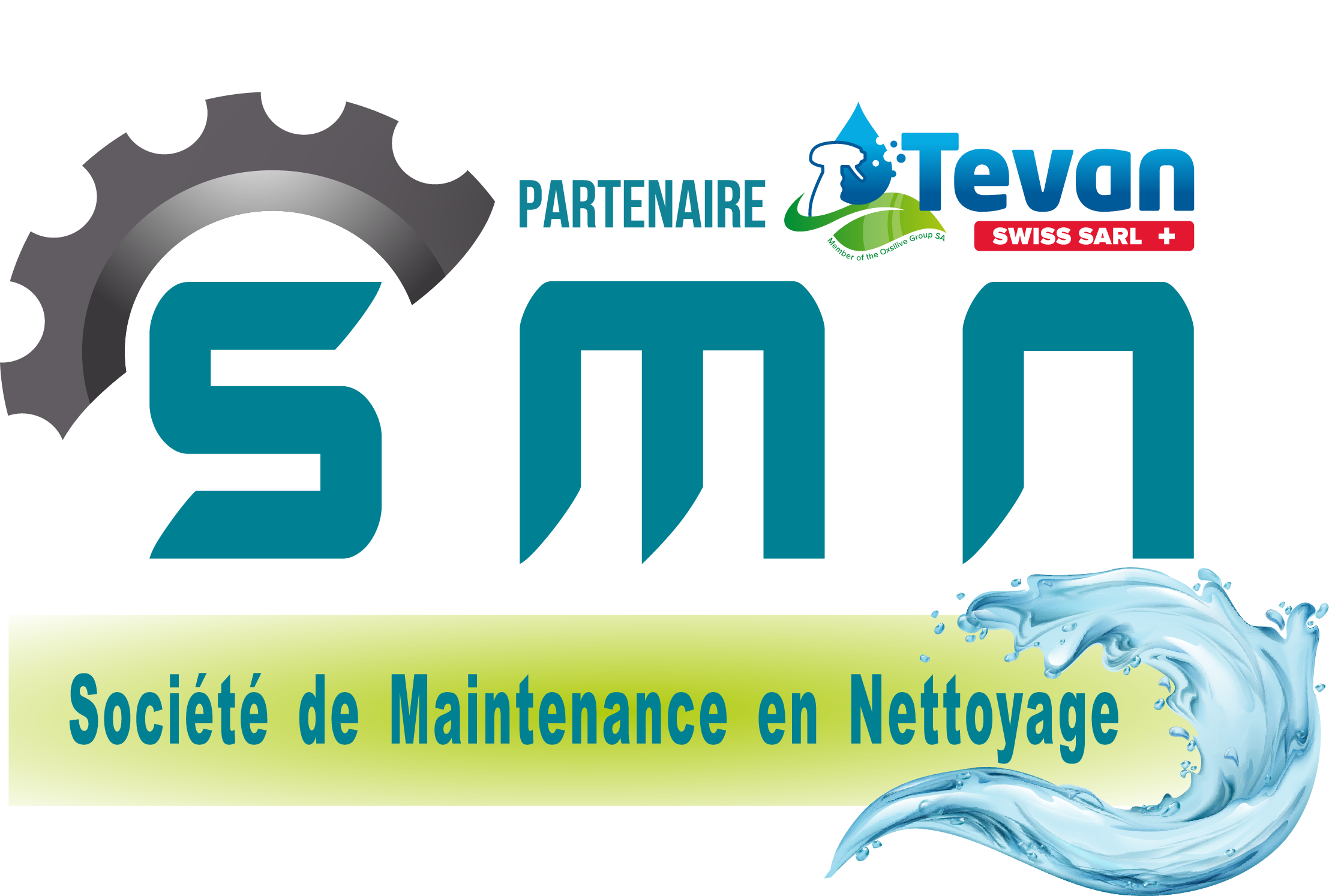 Logo SMN