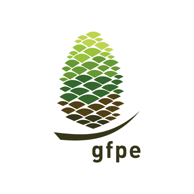 Logo GFPE